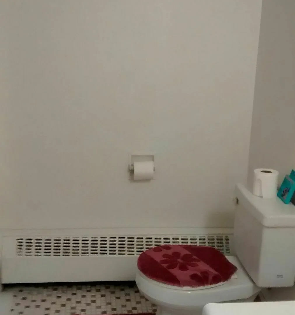 Toronto Furnished Living- Forest Manor Apartment